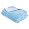 DAS KIDS ΚΟΥΒΕΡΤΑ VELOUR MONH 0291 BABY BLUE