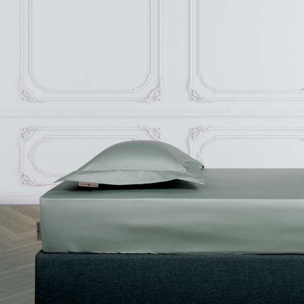 GREENWICH POLO CLUB ΣΕΝΤΟΝΙ ME ΛΑΣΤΙΧΟ ΥΠΕΡΔΙΠΛΟ 2252 ΜΕΝΤΑ shopinhome shopinhome