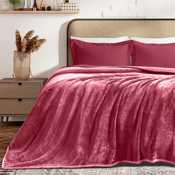 LINO ΚΟΥΒΕΡΤΑ ΒΕΛΟΥΤΕ COBERTOR APPLE 220X240 shopinhome shopinhome